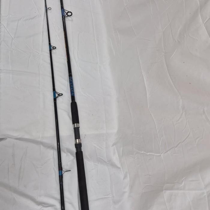 Flanden power stick 10ft 2 piece Sea rod Fishing Rod